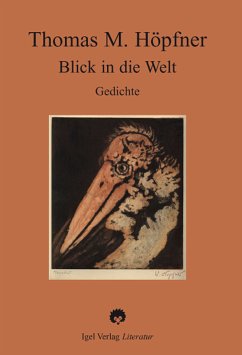 Blick in die Welt (eBook, PDF) - Höpfner, Thomas M.