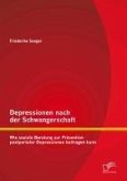 Depressionen nach der Schwangerschaft: Wie soziale Beratung zur Prävention postpartaler Depressionen beitragen kann (eBook, PDF)