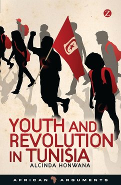 Cover Youth and Revolution in Tunisia (eBook, PDF)