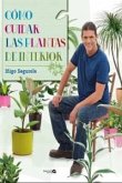 Cómo cuidar las plantas de interior Cómo cuidar las plantas de interior