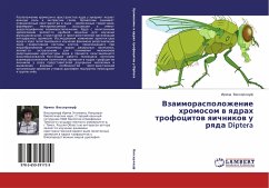 Vzaimoraspolozhenie hromosom w qdrah trofocitow qichnikow u rqda Diptera