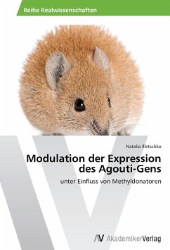 Modulation der Expression des Agouti-Gens - Illetschko, Natalia