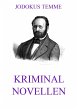 Kriminalnovellen (eBook, ePUB) - Bild 1