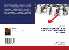 Manganese enrichment in the Rat brain after cortical infarction