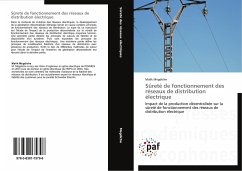 Sûreté de fonctionnement des réseaux de distribution électrique