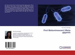 First Bioluminescent Vibrio gigantis