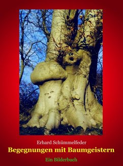 Begegnungen mit Baumgeistern (eBook, ePUB) - Schümmelfeder, Erhard