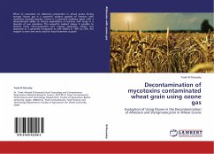 Decontamination of mycotoxins contaminated wheat grain using ozone gas