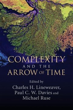 Complexity and the Arrow of Time (eBook, ePUB)