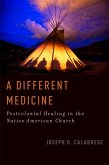 A Different Medicine (eBook, PDF)
