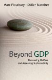 Beyond GDP (eBook, PDF)