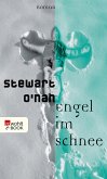 Engel im Schnee (eBook, ePUB)