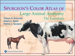 Spurgeon's Color Atlas of Large Animal Anatomy (eBook, PDF) - Mccracken, Thomas O.; Kainer, Robert A.; Spurgeon, Thomas L.