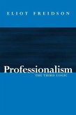 Professionalism (eBook, ePUB)