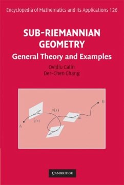 Sub-Riemannian Geometry (eBook, PDF) - Calin, Ovidiu