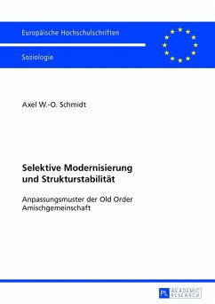 Selektive Modernisierung und Strukturstabilität - Schmidt, Axel