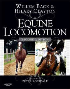 Equine Locomotion - Back, Willem