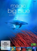 Magic of Big Blue