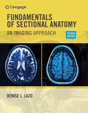 Workbook for Lazo's Fundamentals of Sectional Anatomy: An Imaging Approach, 2nd