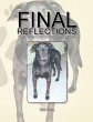 Final Reflections - Bild 1