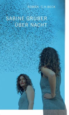 Über Nacht (eBook, ePUB) - Gruber, Sabine