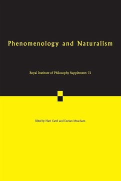 Phenomenology and Naturalism