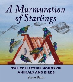 A Murmuration of Starlings - Palin, Steve