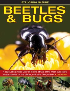 Exploring Nature: Beetles & Bugs - Green, Jen