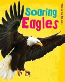 Soaring Eagles (eBook, PDF)