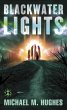 Blackwater Lights (eBook, ePUB) - Bild 1