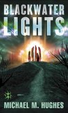 Blackwater Lights (eBook, ePUB)