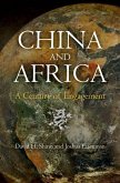 China and Africa (eBook, ePUB)