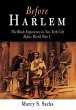 Before Harlem (eBook, ePUB) - Bild 1