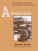 Allapattah (eBook, ePUB)
