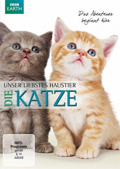 Unser liebstes Haustier - Die Katze