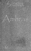 Amhras (eBook, ePUB)