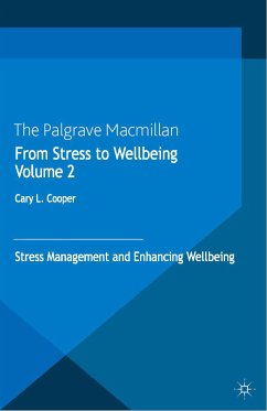 From Stress to Wellbeing Volume 2 (eBook, PDF)