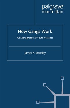 How Gangs Work (eBook, PDF) - Densley, J.