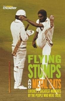 Cover Flying Stumps and Metal Bats (eBook, ePUB)