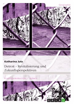 Detroit. Revitalisierung und Zukunftsperspektiven (eBook, ePUB)