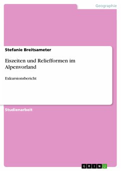 Eiszeiten und Reliefformen im Alpenvorland (eBook, ePUB)