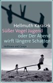 Süßer Vogel Jugend (eBook, ePUB)