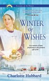 Winter of Wishes (eBook, ePUB)