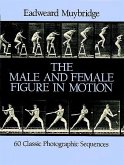 The Male and Female Figure in Motion (eBook, ePUB)