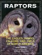 Raptors (eBook, ePUB) - Bild 1