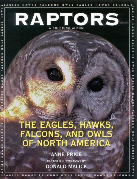 Raptors (eBook, ePUB)