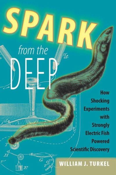 Spark from the Deep (eBook, ePUB)