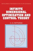 Infinite Dimensional Optimization and Control Theory (eBook, PDF)