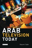 Arab Television Today (eBook, PDF)