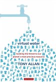 Virtual Water (eBook, PDF)
